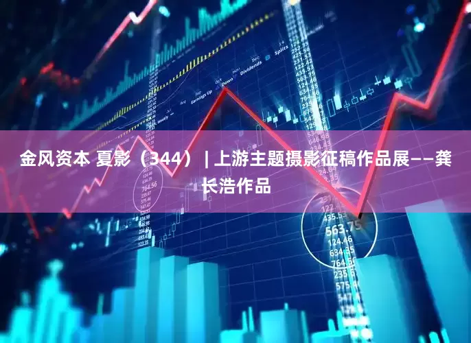 金风资本 夏影（344） | 上游主题摄影征稿作品展——龚长浩作品
