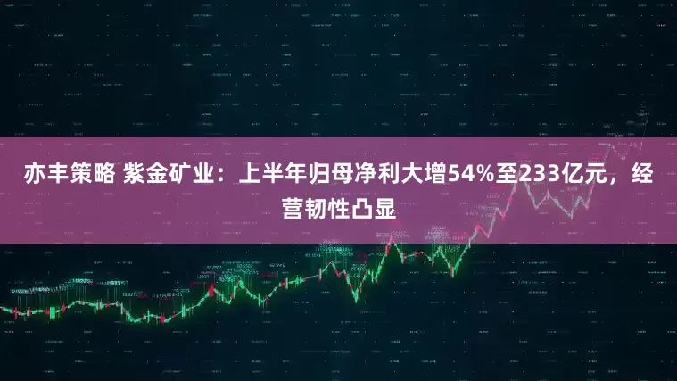 亦丰策略 紫金矿业：上半年归母净利大增54%至233亿元，经营韧性凸显